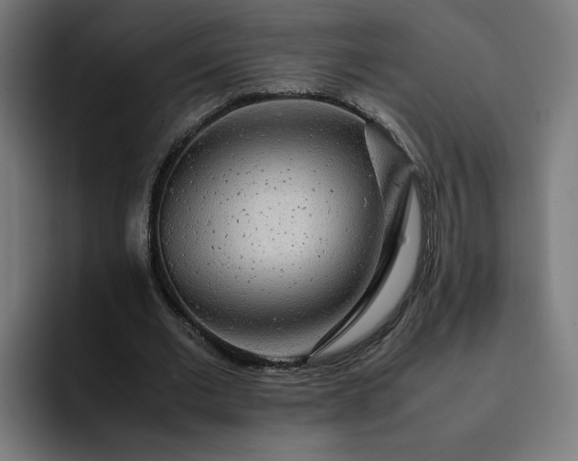 X0000093160677200710101154
