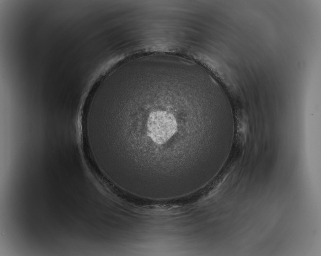 X0000093160678200710101154