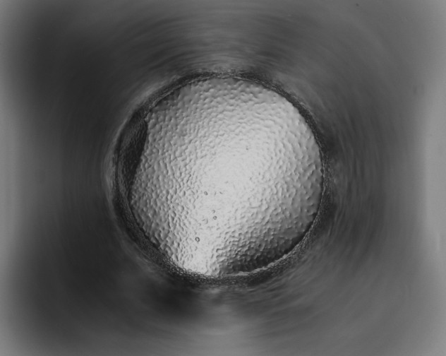 X0000093160679200710101154
