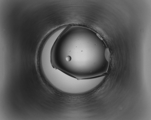 X0000093160680200710101154