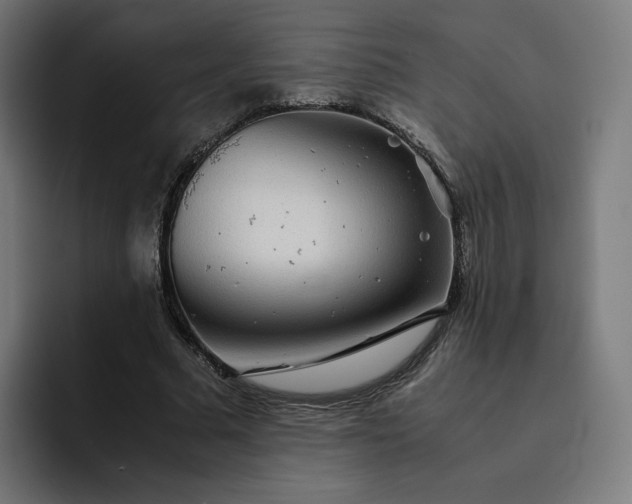 X0000093160681200710101154