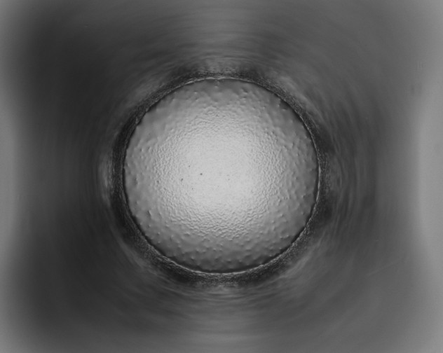 X0000093160683200710101154