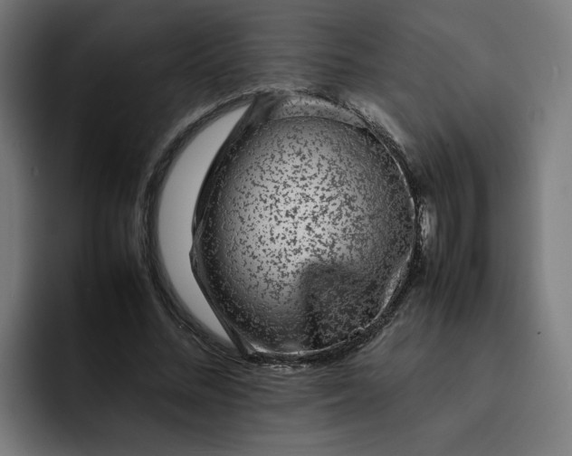 X0000093160684200710101154