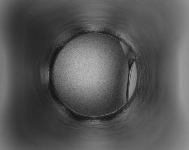 X0000093160685200710101154