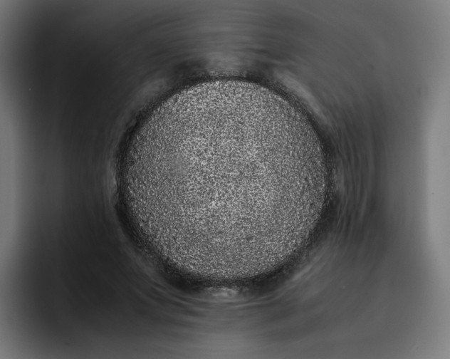 X0000093160687200710101154
