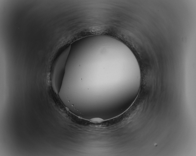 X0000093160689200710101154
