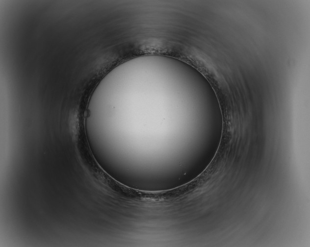 X0000093160690200710101154