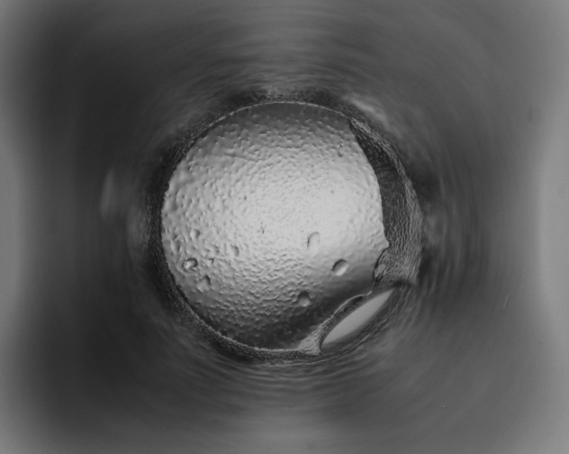 X0000093160691200710101154