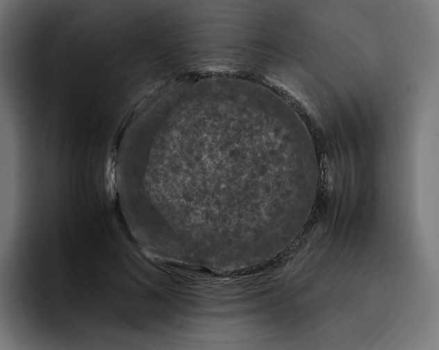 X0000093160692200710101154