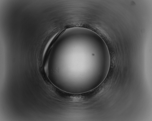 X0000093160693200710101154