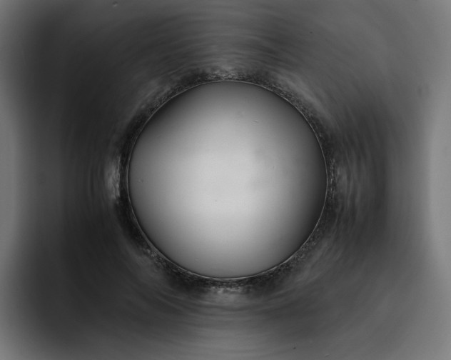 X0000093160694200710101154