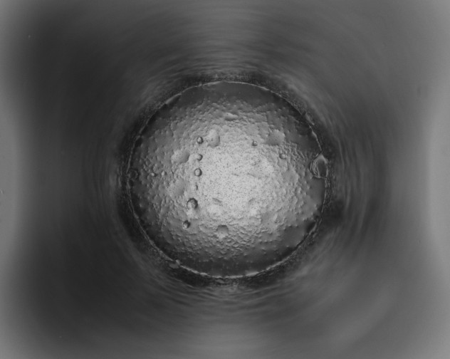 X0000093160695200710101154