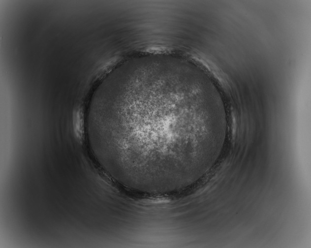 X0000093160696200710101154