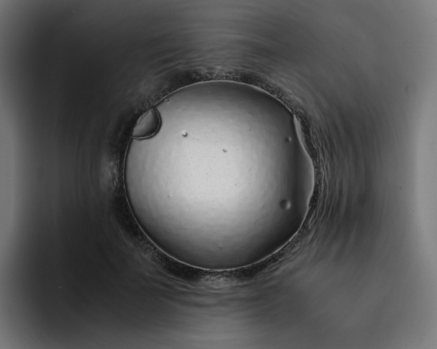 X0000093160699200710101154
