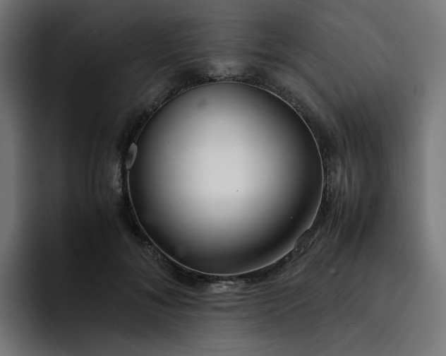 X0000093160700200710101154