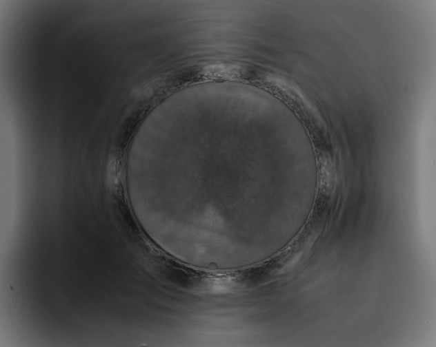 X0000093160701200710101154