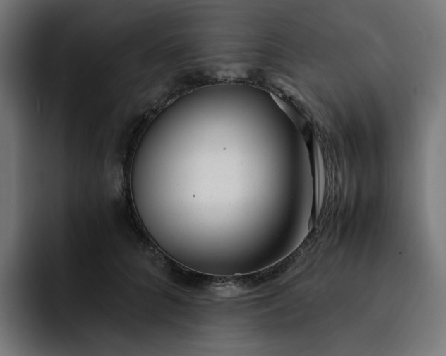 X0000093160704200710101154