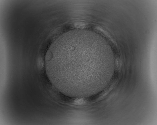 X0000093160705200710101154