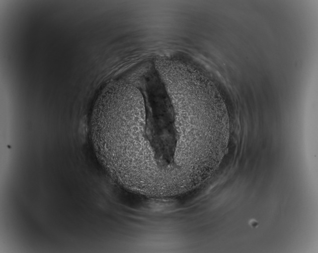 X0000093160707200710101154