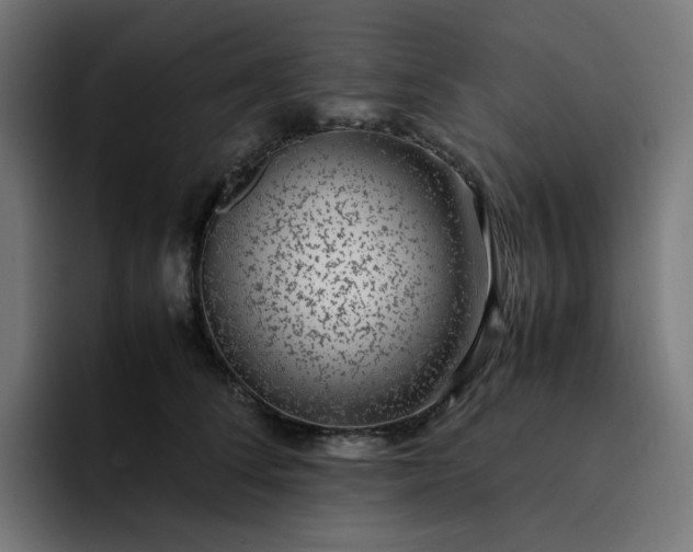 X0000093160708200710101154