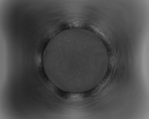 X0000093160709200710101154