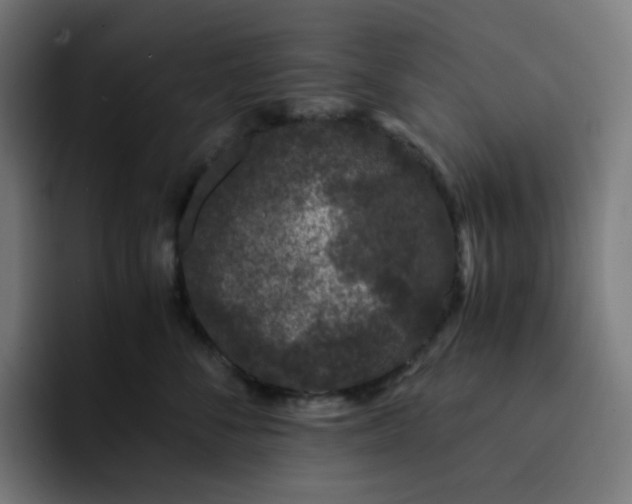 X0000093160716200710101154