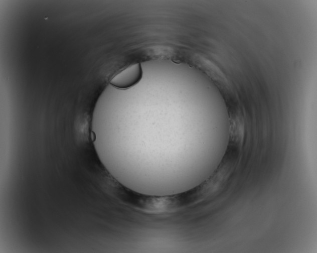 X0000093160717200710101154