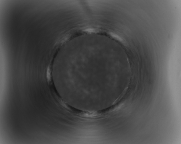 X0000093160720200710101154