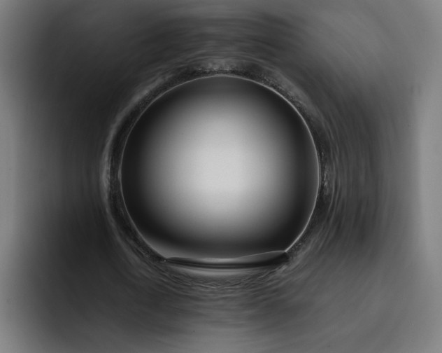 X0000093160722200710101153