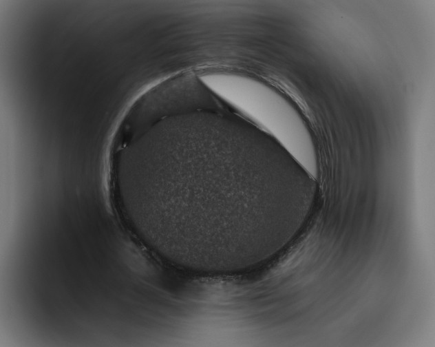 X0000093160724200710101153