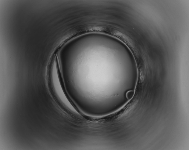 X0000093160725200710101153