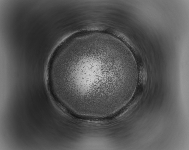 X0000093160726200710101153