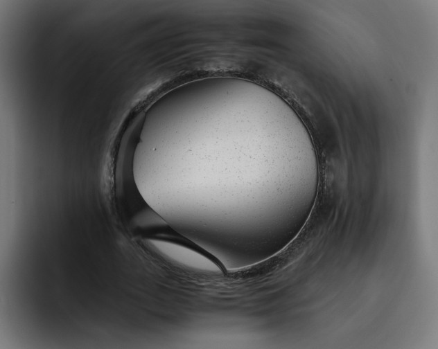 X0000093160727200710101153