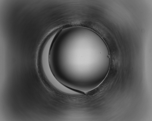 X0000093160728200710101153