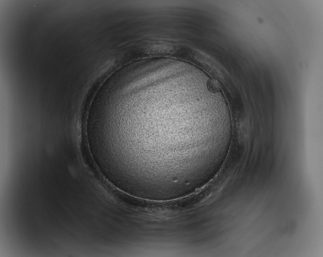 X0000093160729200710101153