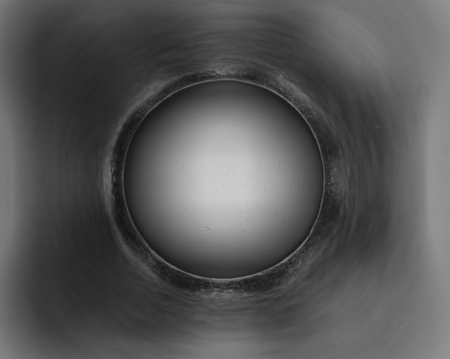X0000093160730200710101153