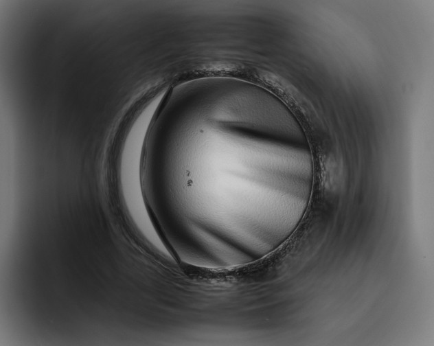 X0000093160731200710101153
