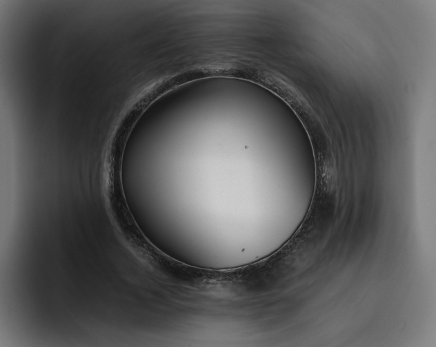 X0000093160732200710101153