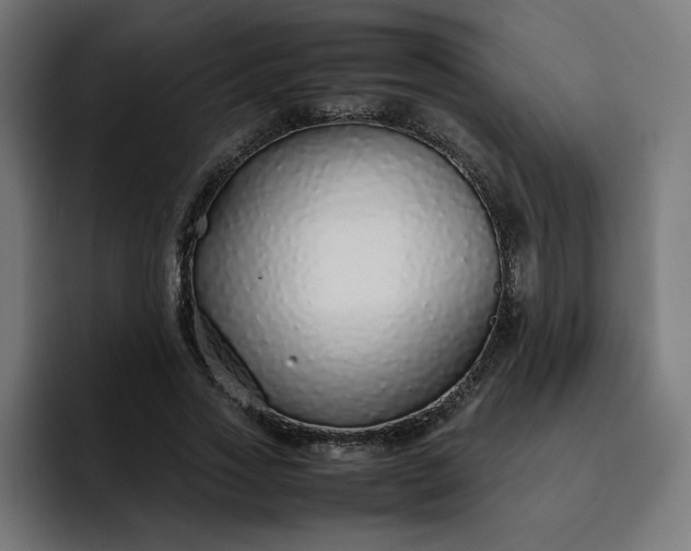 X0000093160733200710101153