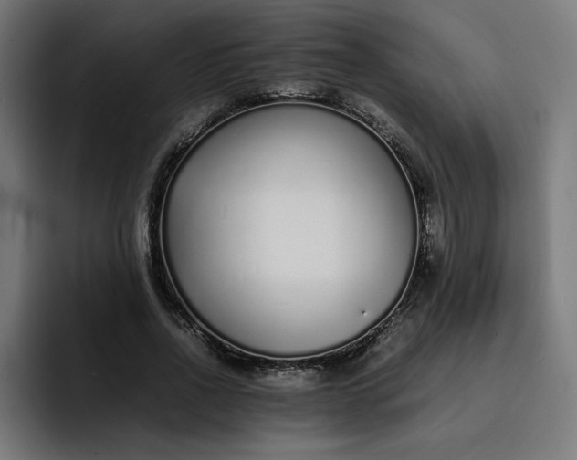 X0000093160734200710101153