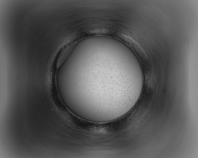 X0000093160735200710101153