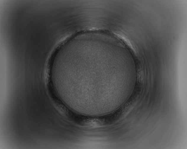 X0000093160736200710101153