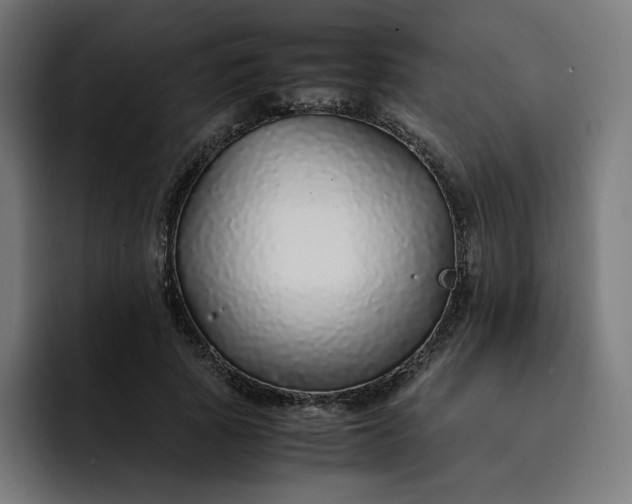 X0000093160737200710101153