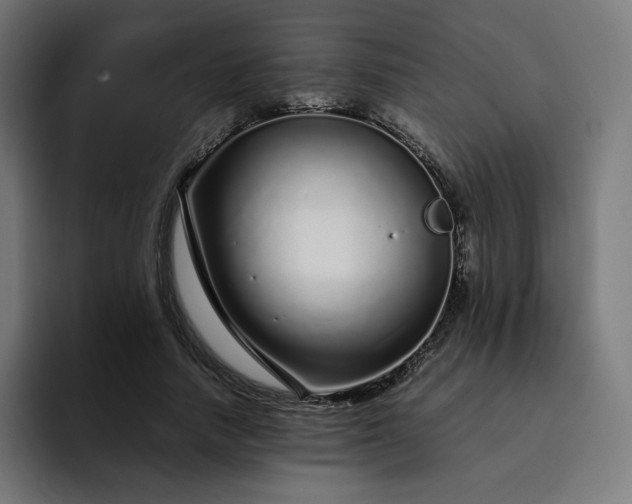 X0000093160738200710101153