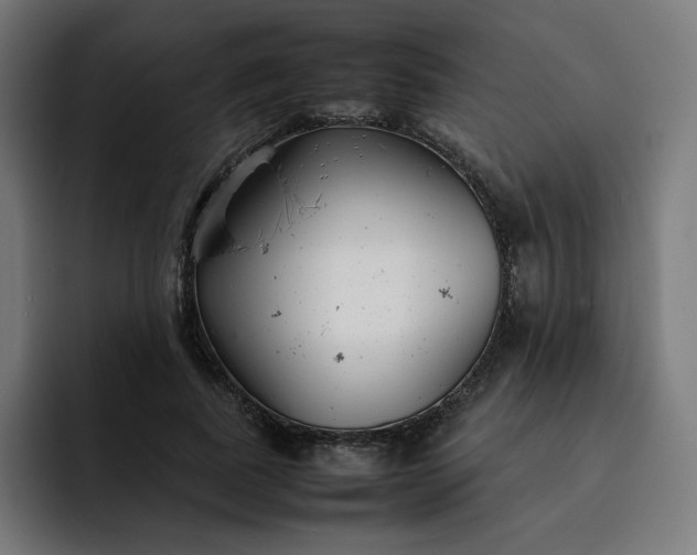 X0000093160739200710101153