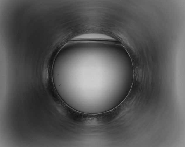 X0000093160740200710101153