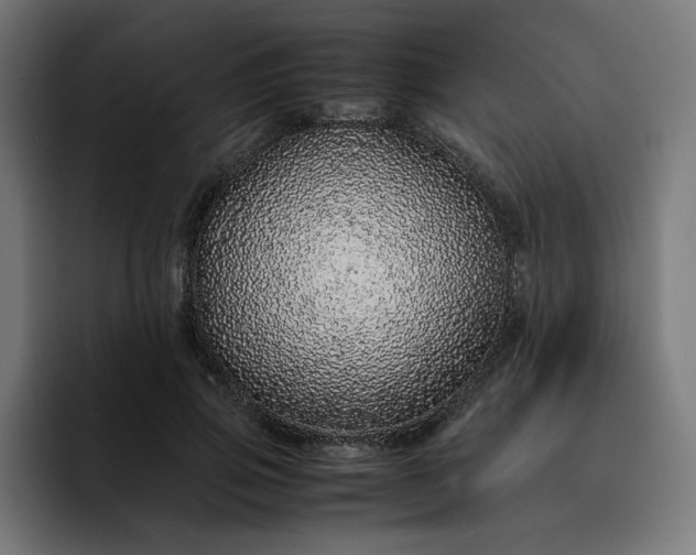 X0000093160741200710101153