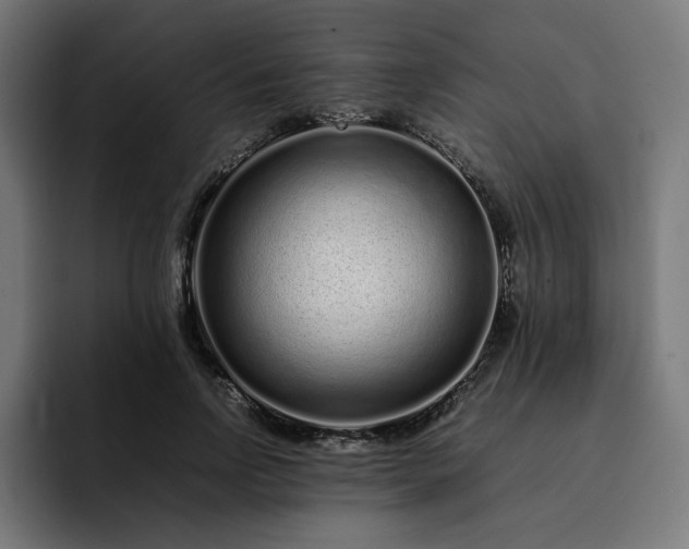 X0000093160742200710101153