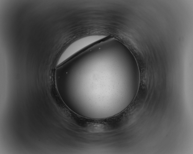 X0000093160743200710101153