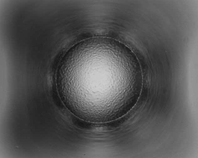 X0000093160746200710101154